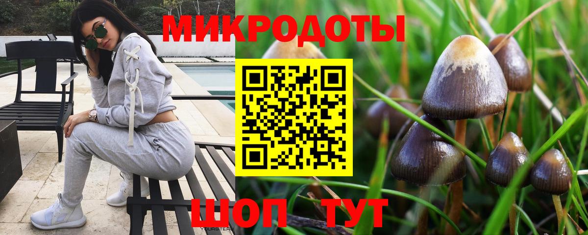 Галлюциногенные грибы мицелий Прокопьевск