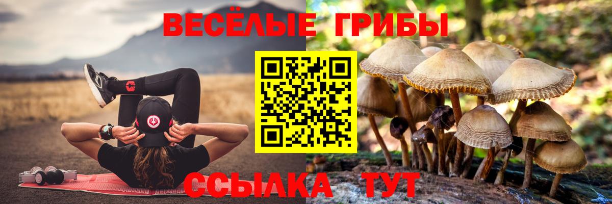 купить закладку  Галлюциногенные грибы мухоморы  Вход с VPN  Прокопьевск 